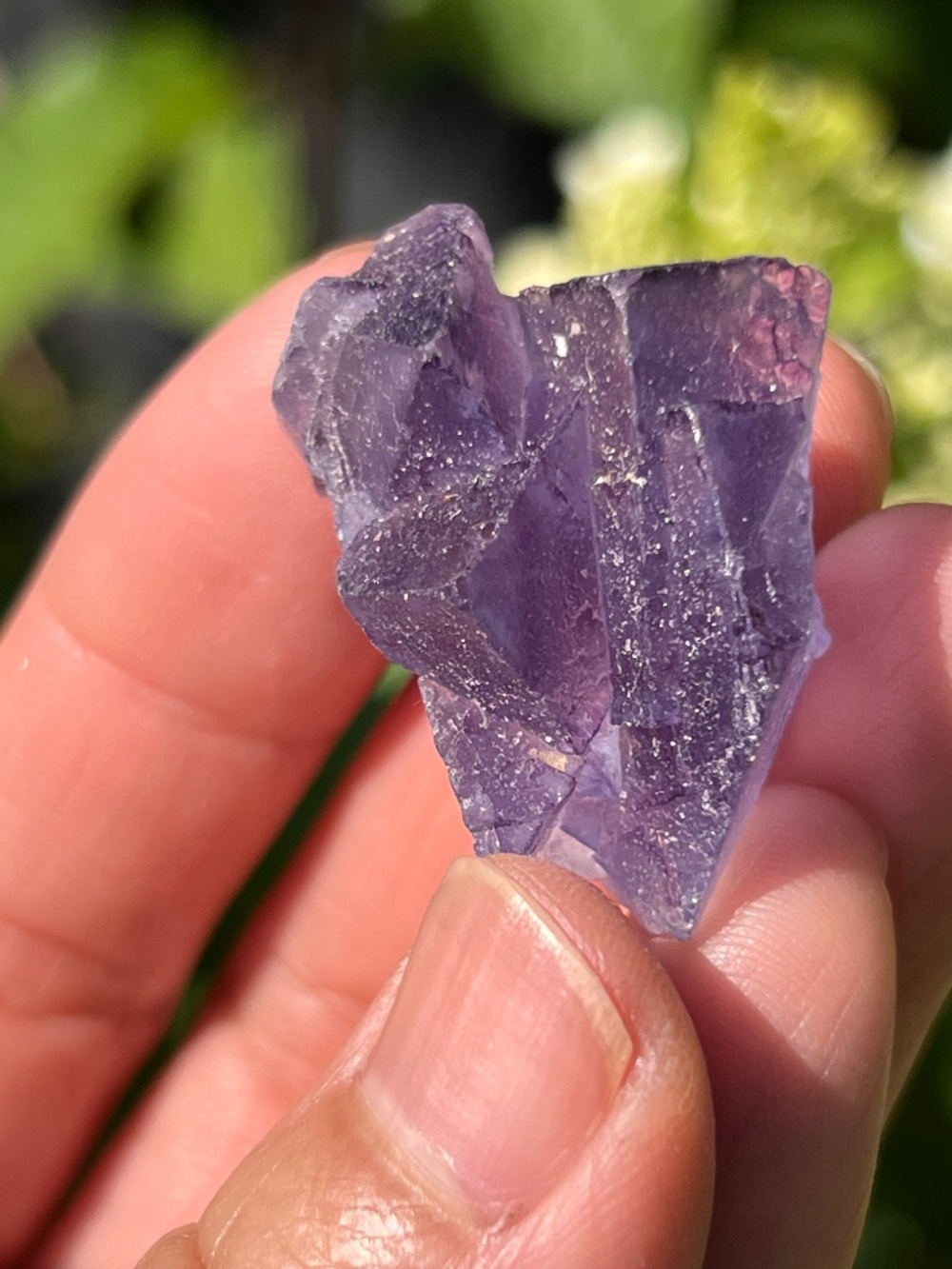Fluorite (5) specimen with stand | crystal